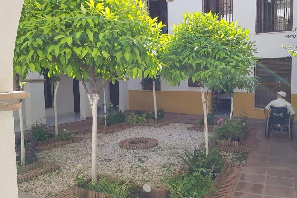 Precioso Apartamento Junto A Plaza La Corredera Córdoba Buitenkant foto